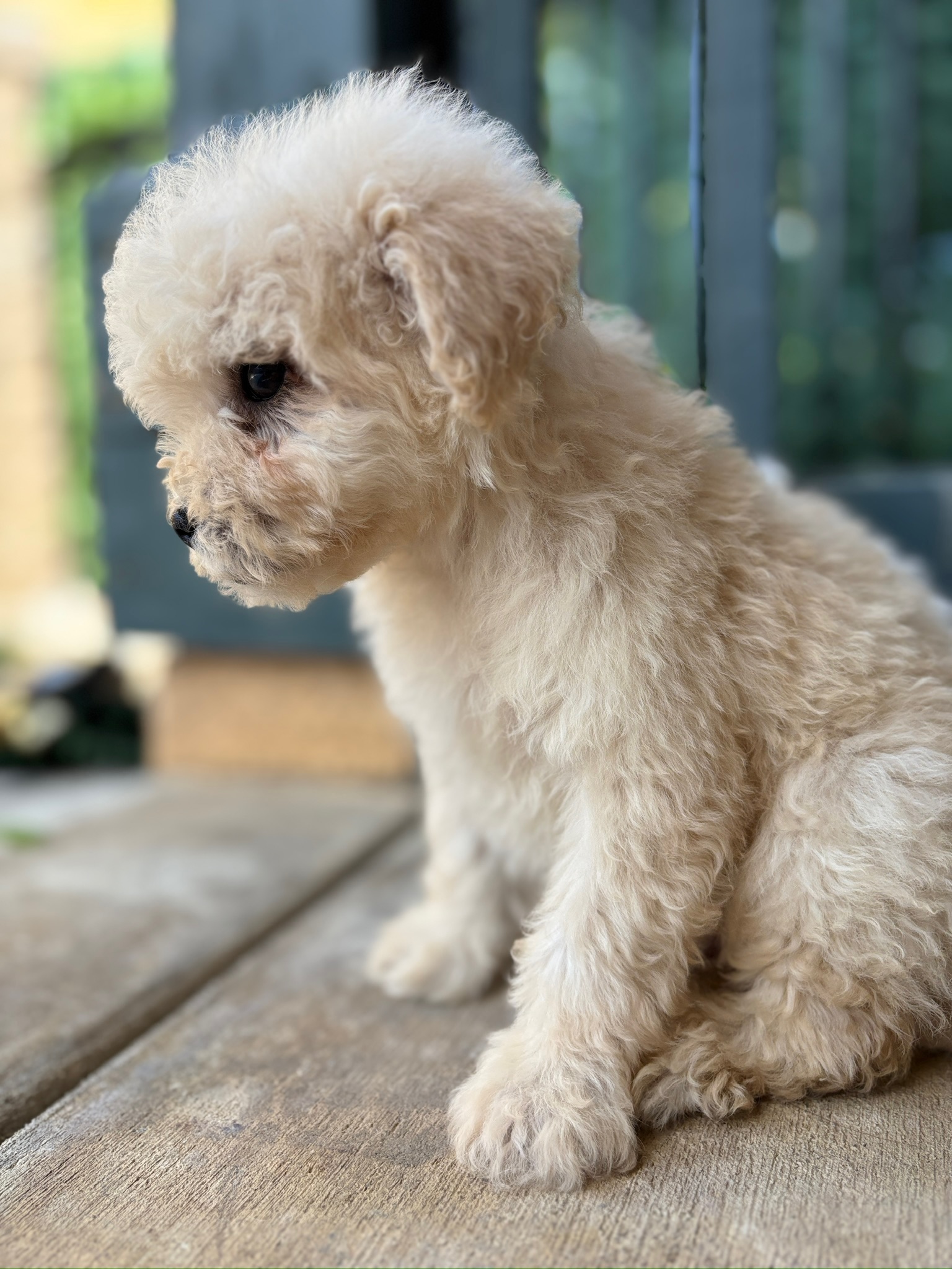 Max photo 3
