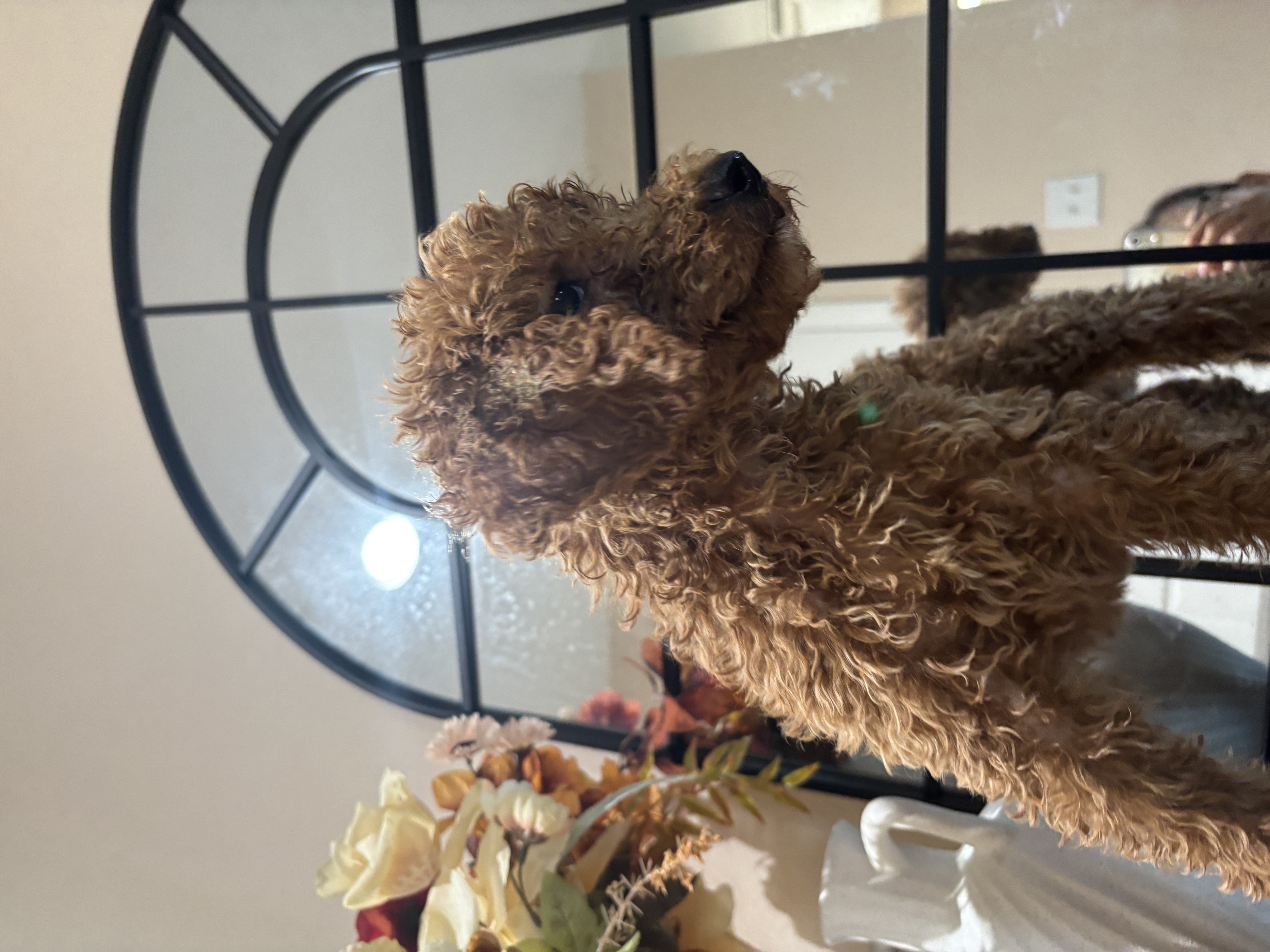 Max photo 3