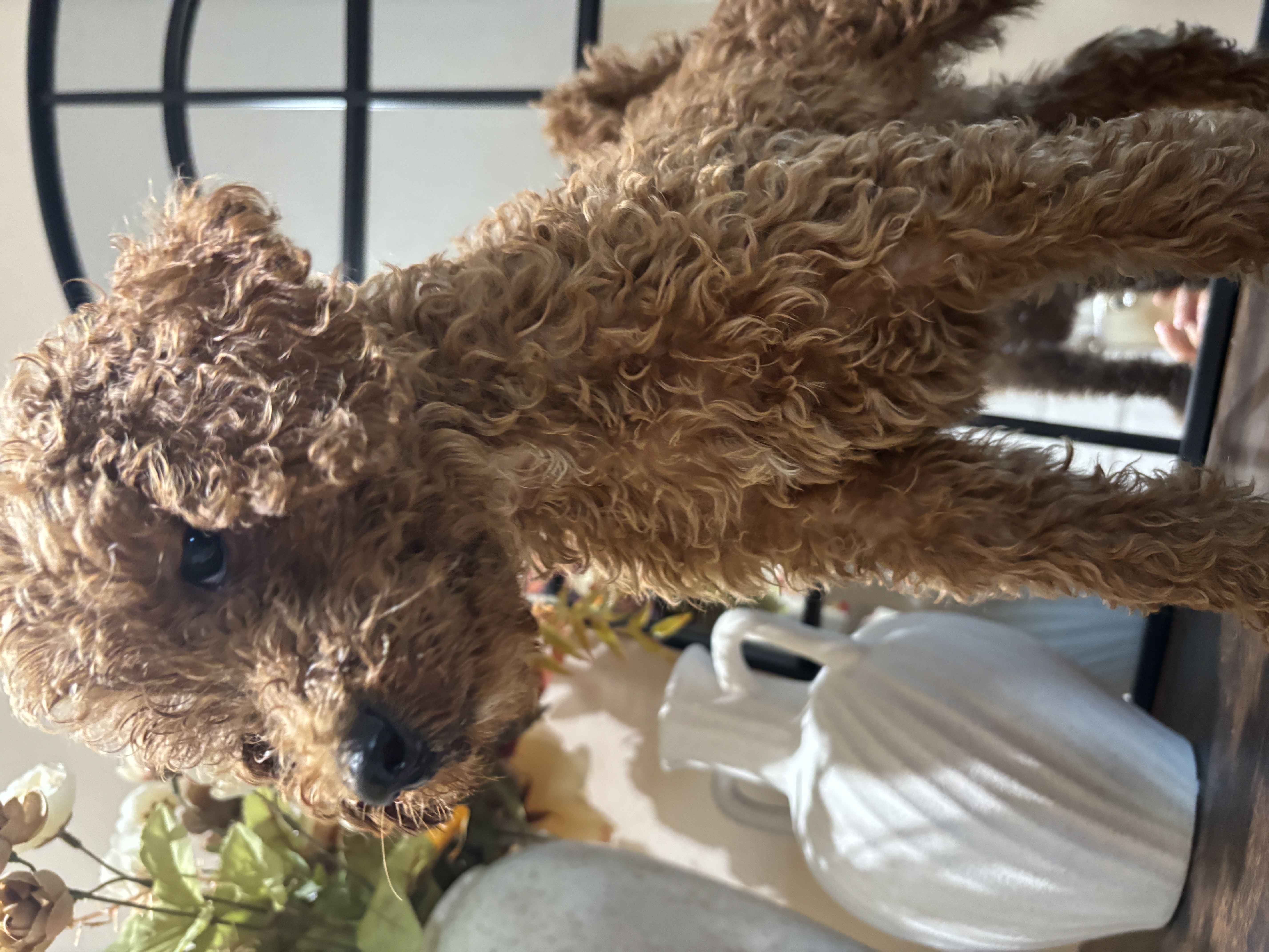 Max photo 4